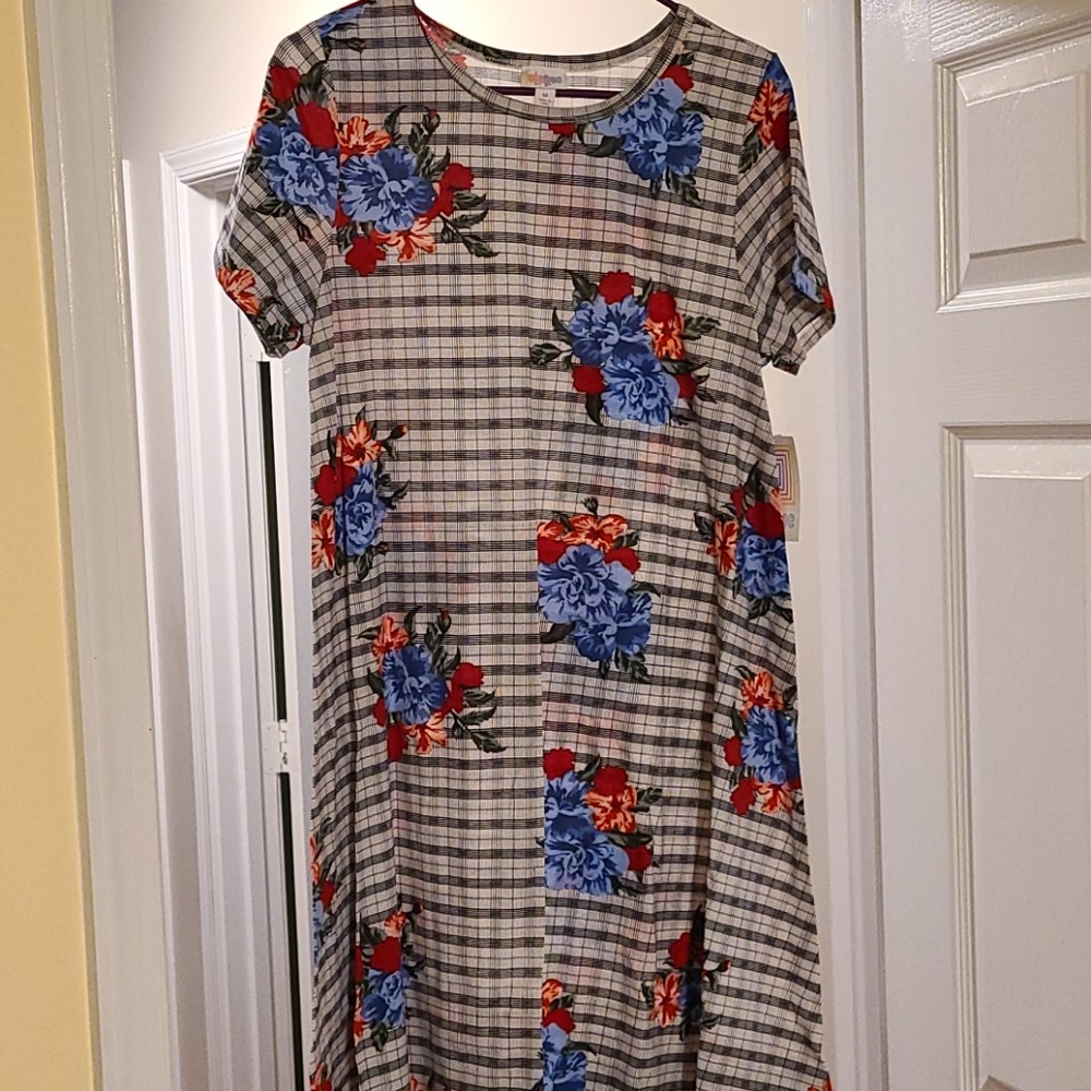 Brand new with tags Medium Lularoe Carly dress